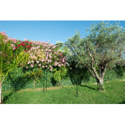 Arche "Basics" tube rond 16 mm noir 130x40x250 cm - Acier époxy - Louis Moulin