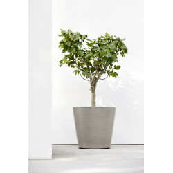 Grand pot sur roues Amsterdam 80 Taupe - Ø 80 x H. 75 cm - 300 L - ECOPOTS