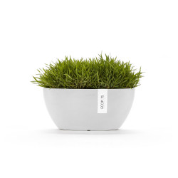 Pot Ovale Sofia 30 Blanc Pur + réservoir d'eau - 30 x 13 x H. 13,5 cm - 2,7 L de marque ECOPOTS, référence: J7920100