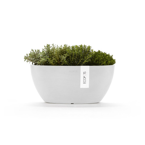 Pot Ovale Sofia 30 Blanc Pur + réservoir d'eau - 30 x 13 x H. 13,5 cm - 2,7 L - ECOPOTS