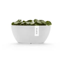 Pot Ovale Sofia 30 Blanc Pur + réservoir d'eau - 30 x 13 x H. 13,5 cm - 2,7 L - ECOPOTS