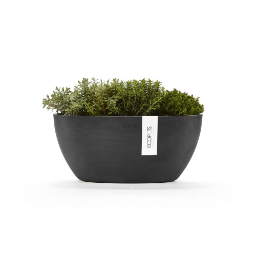 Pot Ovale Sofia 30 Gris Foncé + réservoir d'eau - 30 x 13 x H. 13,5 cm - 2,7 L - ECOPOTS