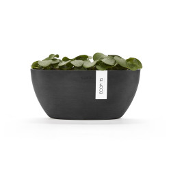 Pot Ovale Sofia 30 Gris Foncé + réservoir d'eau - 30 x 13 x H. 13,5 cm - 2,7 L - ECOPOTS