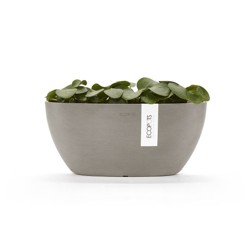 Pot Ovale Sofia 30 Taupe + réservoir d'eau - 30 x 13 x H. 13,5 cm - 2,7 L - ECOPOTS