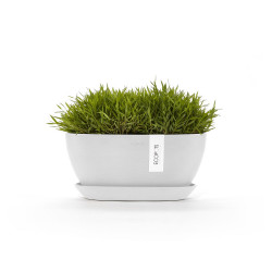 Pot Ovale Sofia 30 + Soucoupe - 30 x 13 x H. 13,9 cm - 2,7 L de marque ECOPOTS, référence: J7920600