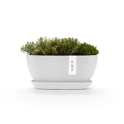 Pot Ovale Sofia 30 + Soucoupe - 30 x 13 x H. 13,9 cm - 2,7 L - ECOPOTS