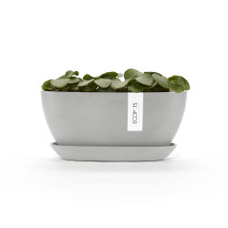 Pot Ovale Sofia 30 + Soucoupe - 30 x 13 x H. 13,9 cm - 2,7 L - ECOPOTS