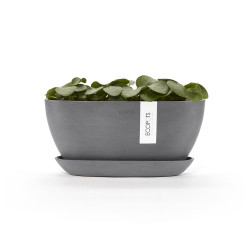 Pot Ovale Sofia 30 + Soucoupe - 30 x 13 x H. 13,9 cm - 2,7 L - ECOPOTS