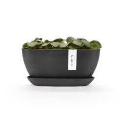 Pot Ovale Sofia 30 + Soucoupe - 30 x 13 x H. 13,9 cm - 2,7 L - ECOPOTS