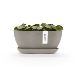 Pot Ovale Sofia 30 + Soucoupe - 30 x 13 x H. 13,9 cm - 2,7 L - ECOPOTS