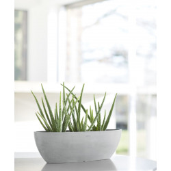 Pot Ovale Sofia Long 56 Blanc Gris + réservoir d'eau - 56 x 14 x H. 16 cm - 7 L - ECOPOTS