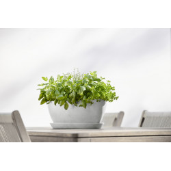 Pot Ovale Sofia Long 56 Blanc Gris + réservoir d'eau - 56 x 14 x H. 16 cm - 7 L - ECOPOTS