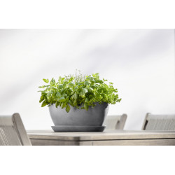 Pot Ovale Sofia Long 56 Gris + réservoir d'eau - 56 x 14 x H. 16 cm - 7 L - ECOPOTS