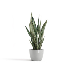 Pot Rond Stockholm 24 Blanc Gris - Ø 23,2 x H. 17,6 cm - 5,4 L de marque ECOPOTS, référence: J7922100