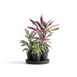 Ensemble de 3 pots Dubai Gris Foncé - Ø 57 x H. 30 cm - support à roulettes