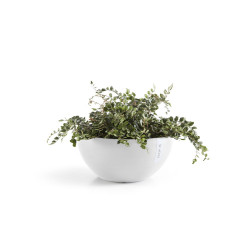 Pot Rond Brussels 25 Blanc Pur - Ø 25 x H. 12 cm - 3,6 L de marque ECOPOTS, référence: J7924600