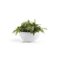 Pot Rond Brussels 25 Blanc Pur - Ø 25 x H. 12 cm - 3,6 L - ECOPOTS