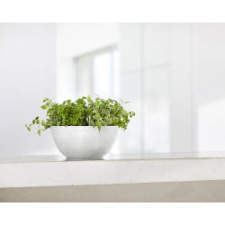 Pot Rond Brussels 25 Blanc Pur - Ø 25 x H. 12 cm - 3,6 L - ECOPOTS