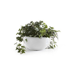 Pot Rond Brussels 30 Blanc Pur - Ø 30 x H. 14 cm - 6,5 L - ECOPOTS