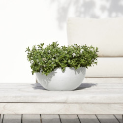 Pot Rond Brussels 30 Blanc Pur - Ø 30 x H. 14 cm - 6,5 L - ECOPOTS