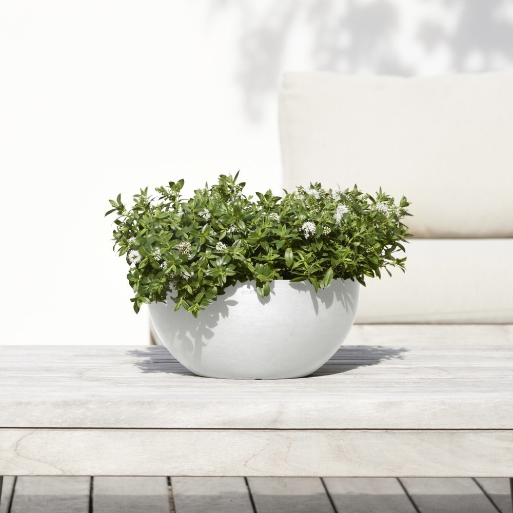 ECOPOTS Ciotola Brussels Antracite Ø30cm - Vaso Rotondo In Plastica Riciclata Per Piante, Interni/Esterni - 3