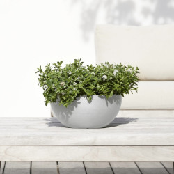 Pot Rond Brussels 30 Blanc Gris - Ø 30 x H. 14 cm - 6,5 L - ECOPOTS