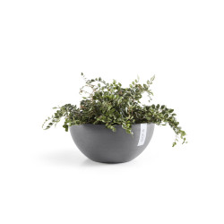 Pot Rond Brussels 25 Gris - Ø 25 x H. 12 cm - 3,6 L - ECOPOTS