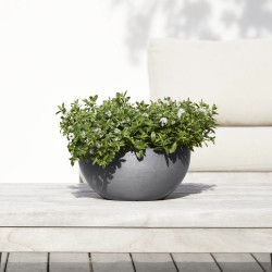 Pot Rond Brussels 30 Gris - Ø 30 x H. 14 cm - 6,5 L - ECOPOTS