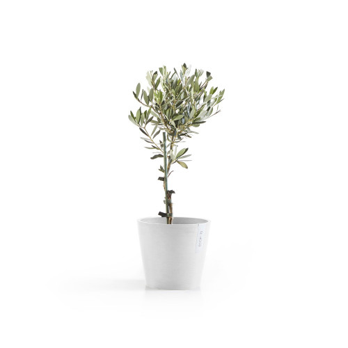 Pot Rond Amsterdam 20 Blanc Pur - Ø 20 x H. 17,5 cm - 4 L - ECOPOTS