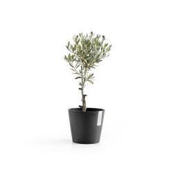 Pot Rond Amsterdam 20 Gris Foncé - Ø 20 x H. 17,5 cm - 4 L - ECOPOTS