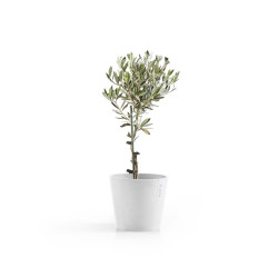 Pot Rond Amsterdam 20 Blanc Pur + réservoir d'eau - Ø 20 x H. 17,5 cm - 4 L - ECOPOTS