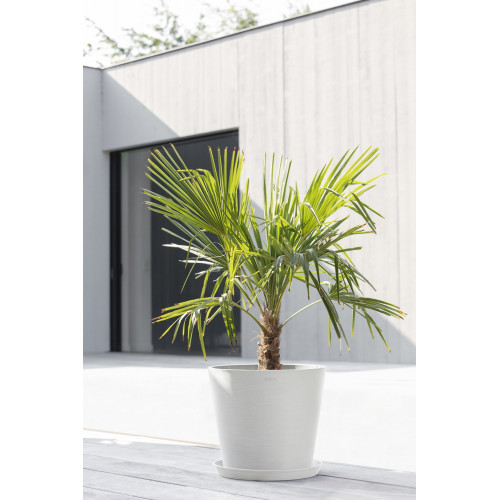 Pot Rond Amsterdam 40 Blanc Pur + réservoir d'eau - Ø 40 x H. 35 cm - 28 L - ECOPOTS