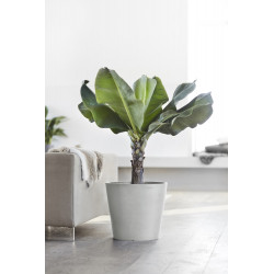 Pot Rond Amsterdam 40 Blanc Gris + réservoir d'eau - Ø 40 x H. 35 cm - 28 L - ECOPOTS