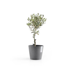 Pot Rond Amsterdam 20 Gris + réservoir d'eau - Ø 20 x H. 17,5 cm - 4 L - ECOPOTS