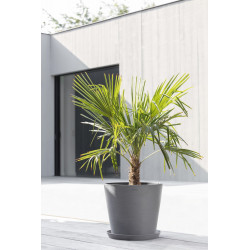 Pot Rond Amsterdam 40 Gris + réservoir d'eau - Ø 40 x H. 35 cm - 28 L - ECOPOTS