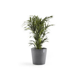 Pot Rond Amsterdam 50 Gris + réservoir d'eau - Ø 50 x H. 43,8 cm - 62 L - ECOPOTS