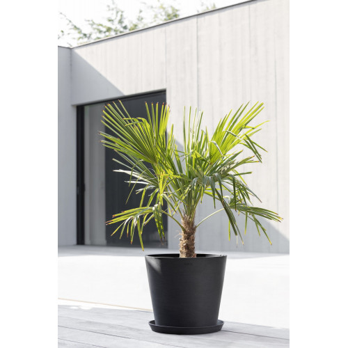 Pot Rond Amsterdam 40 Gris Foncé + réservoir d'eau - Ø 40 x H. 35 cm - 28 L - ECOPOTS