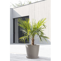 Pot Rond Amsterdam 40 Taupe + réservoir d'eau - Ø 40 x H. 35 cm - 28 L - ECOPOTS