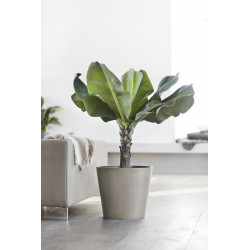 Pot Rond Amsterdam 40 Taupe + réservoir d'eau - Ø 40 x H. 35 cm - 28 L - ECOPOTS