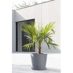 Pot Rond Amsterdam 40 Bleu Gris + réservoir d'eau - Ø 40 x H. 35 cm - 28 L - ECOPOTS