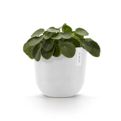 Pot Rond Oslo 25 Blanc Pur + réservoir d'eau - Ø 25 x H. 21,8 cm - 7,7 L de marque ECOPOTS, référence: J7931700