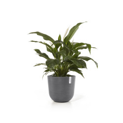 Pot Rond Oslo 45 Gris + réservoir d'eau - Ø 45 x H. 39,2 cm - 46,6 L de marque ECOPOTS, référence: J7932500