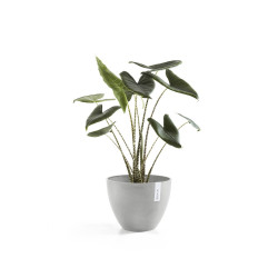 Pot Rond Antwerp 30 Blanc Gris - Ø 30 x H. 25,5 cm - 11,4 L - ECOPOTS