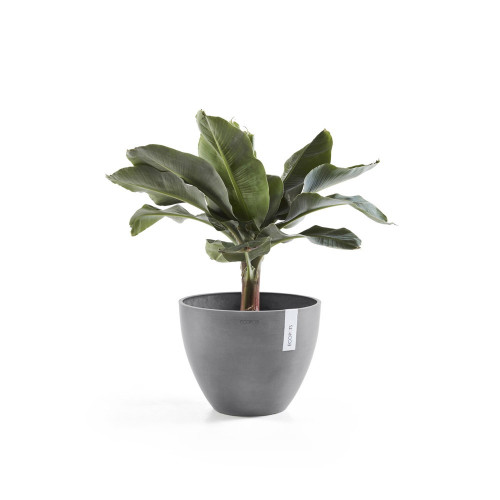 Pot Rond Antwerp 30 Gris - Ø 30 x H. 25,5 cm - 11,4 L - ECOPOTS