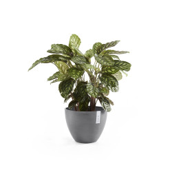 Pot Rond Antwerp 40 Gris - Ø 40 x H. 30 cm - 25 L de marque ECOPOTS, référence: J7934400