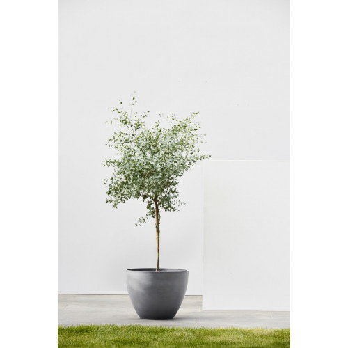 Pot Rond Antwerp 40 Gris - Ø 40 x H. 30 cm - 25 L - ECOPOTS