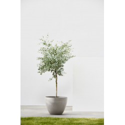 Pot Rond Antwerp 40 Taupe - Ø 40 x H. 30 cm - 25 L - ECOPOTS