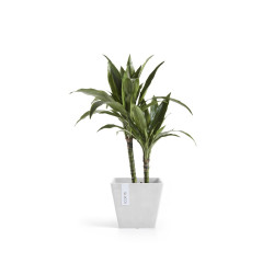 Pot Carré Rotterdam 20 Blanc Pur - 20 x 20 x H. 17,5 cm - 5,2 L - ECOPOTS