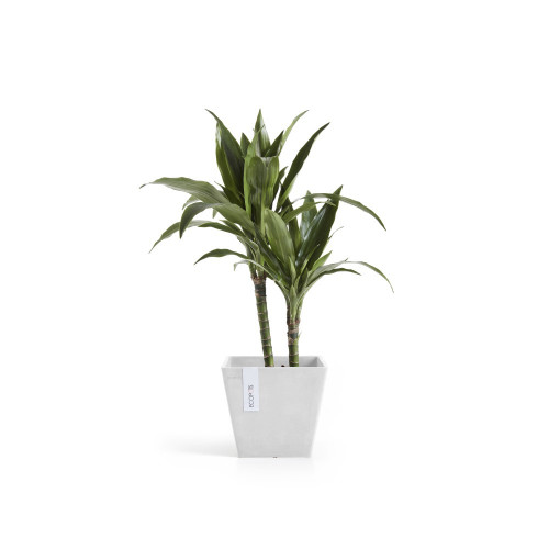 Pot Carré Rotterdam 20 Blanc Pur - 20 x 20 x H. 17,5 cm - 5,2 L - ECOPOTS