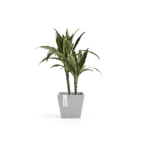 Pot Carré Rotterdam 20 Blanc Gris - 20 x 20 x H. 17,5 cm - 5,2 L - ECOPOTS